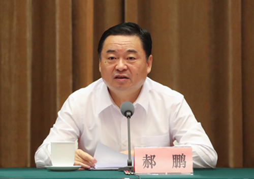 郝鵬、國資、央企、國資委、書記、主任、國企、企業(yè)改革